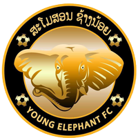 小象FC队徽