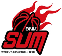 BNK釜山萨姆女篮队徽