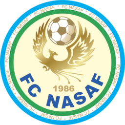 纳萨夫女足队徽