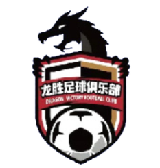 南京龙胜队徽